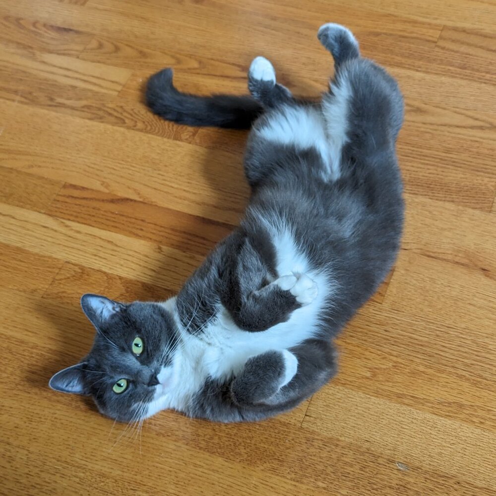 Meet your Posher, Jeanne